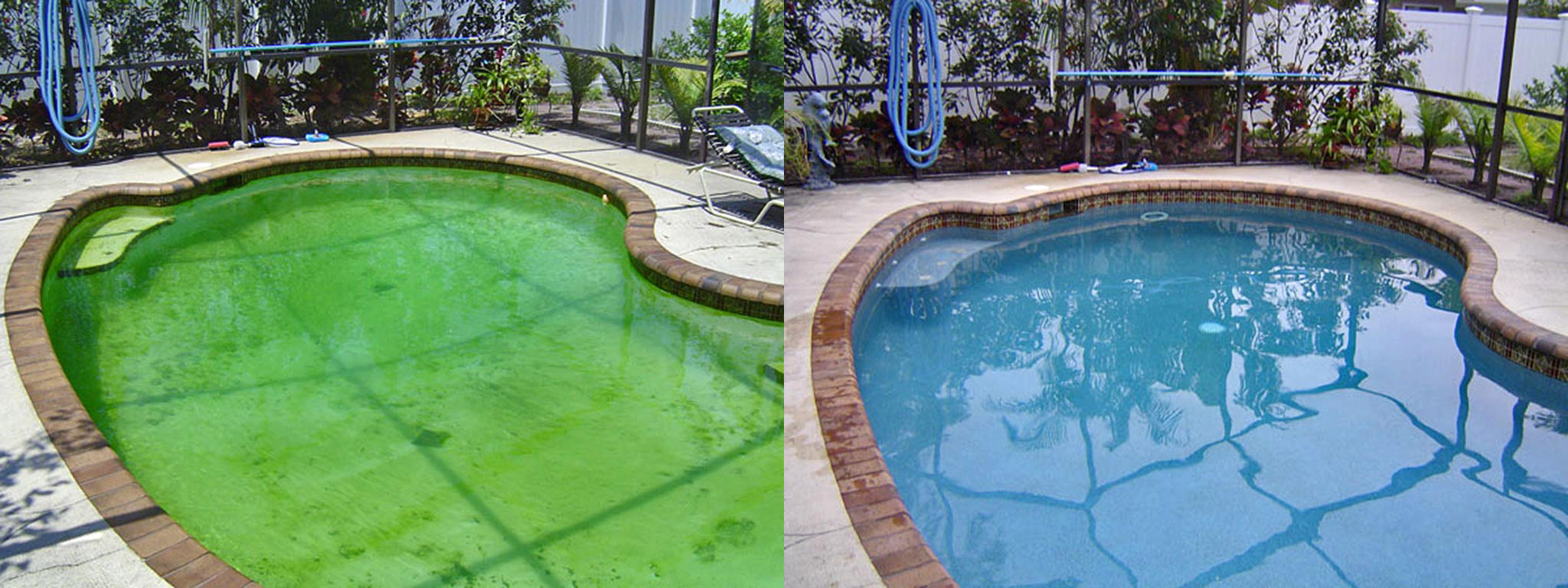 Pool renovation before and after