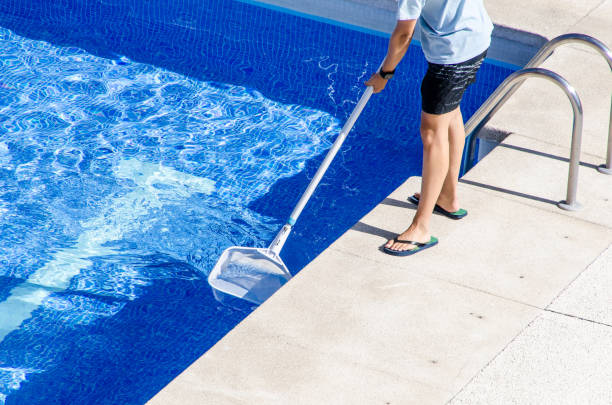 Swimming Pool Cleaning Strategies